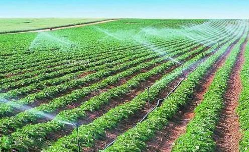 黑人大鸡巴用力插农田高 效节水灌溉
